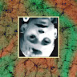 Meet your Posher, Mathew